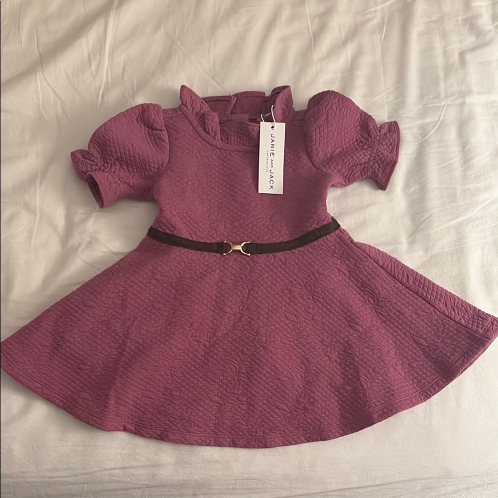 Janie and Jack Pink A-Line Puff Sleeve Dress